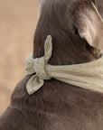 Olive Green Summer Cooling Bandana - Bodhi & The Birchtree