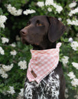 Pink Gingham Summer Cooling Bandana - Bodhi & The Birchtree