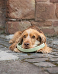 Bodhi & The Birchtree The Evergreen Collection - Foliage Slow Feeder Bowl - Bodhi & The Birchtree