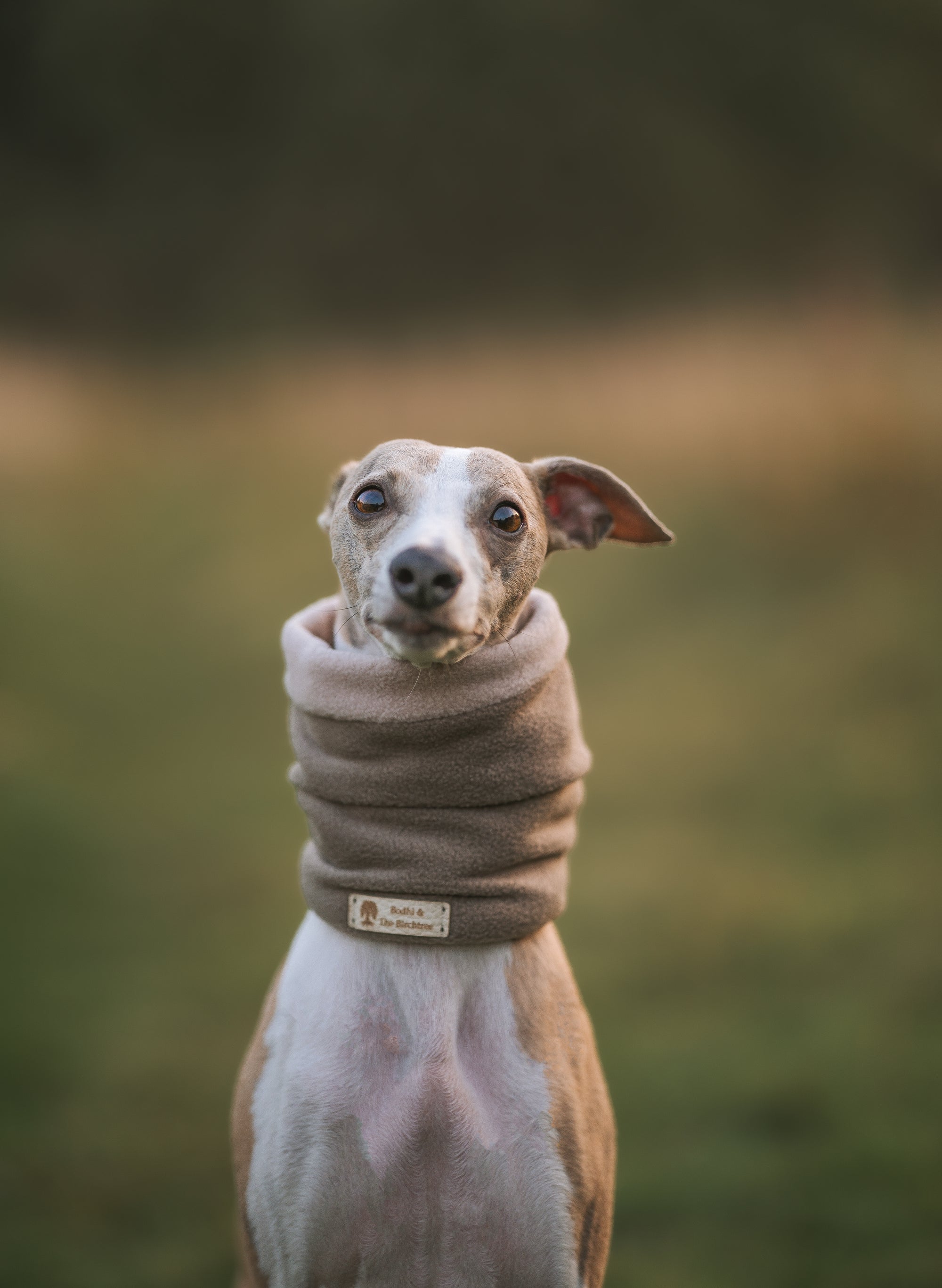 ‘The Mia’ Dark Camel & Light Stone Polar Fleece Snood - Bodhi & The Birchtree