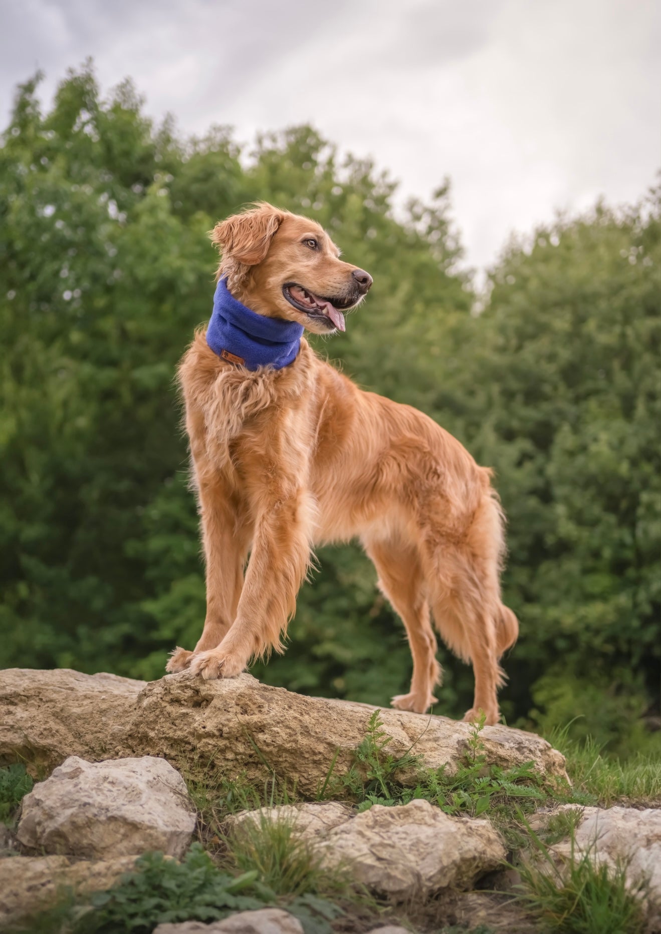 Bodhi & The Birchtree ‘The Cools’ - Polar Fleece Snoods - Bodhi & The Birchtree