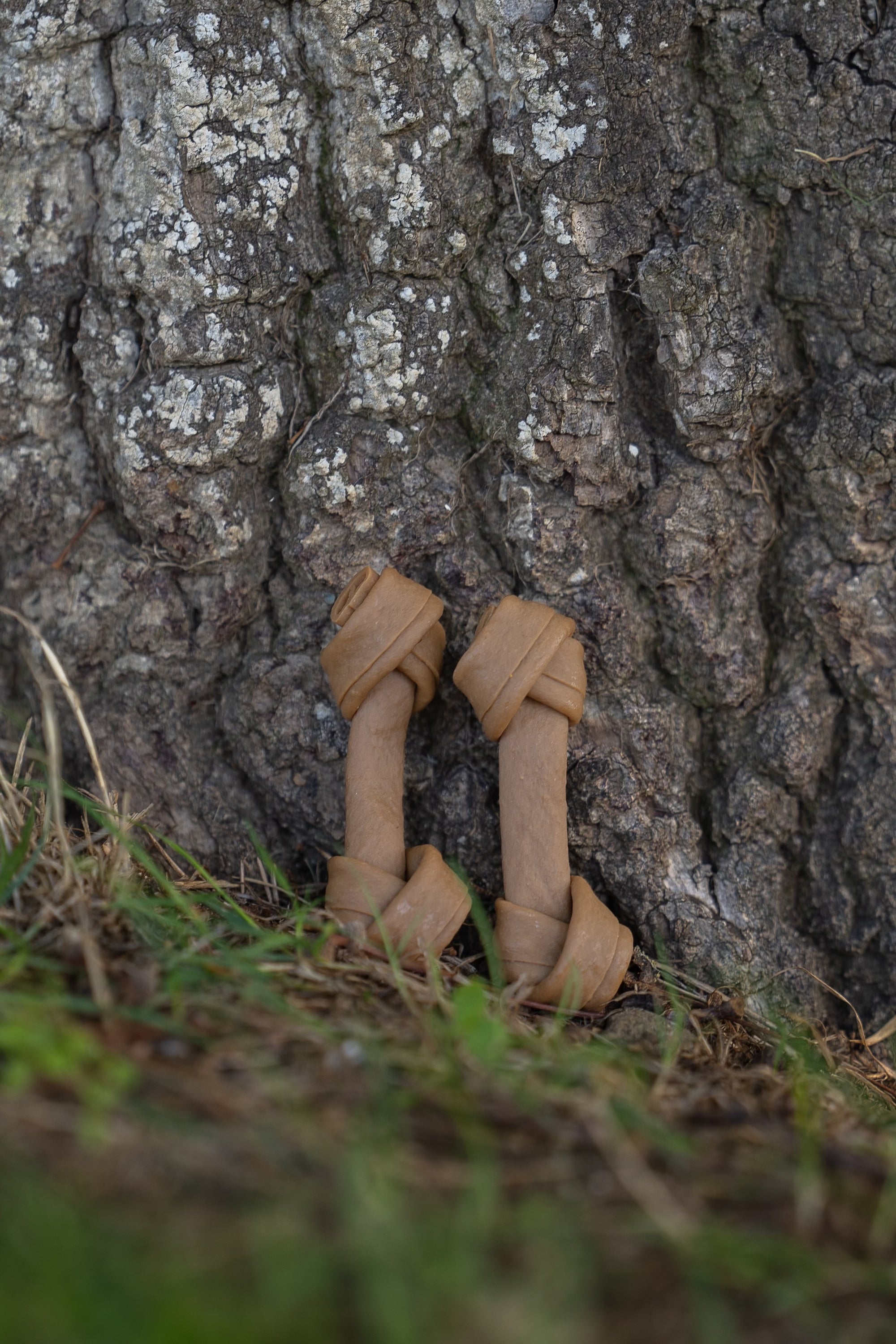 Collagen Knot - Chicken & Peanut Butter - Bodhi & The Birchtree