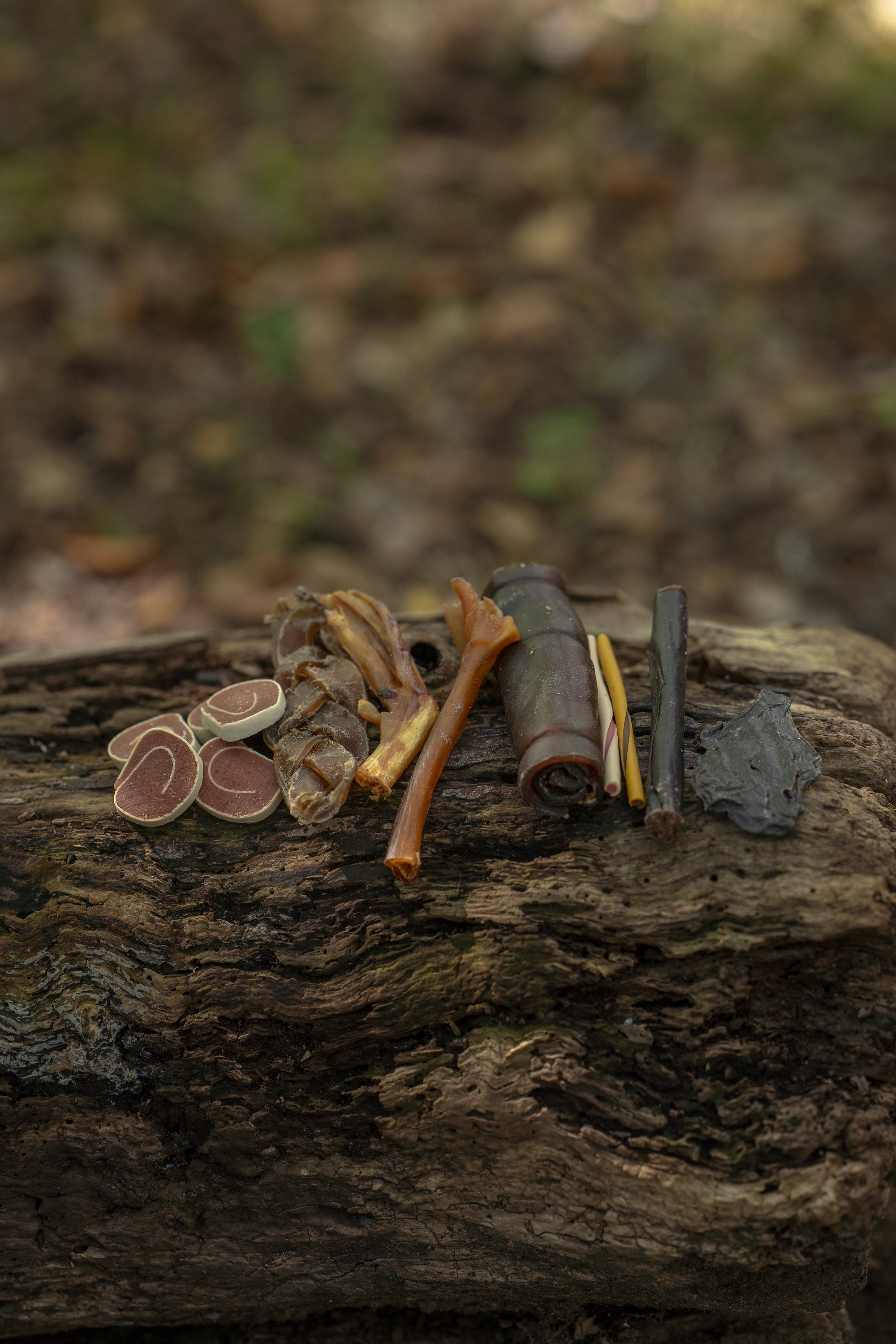 Bodhi & The Birchtree Surprise Nab Bag - Bodhi & The Birchtree