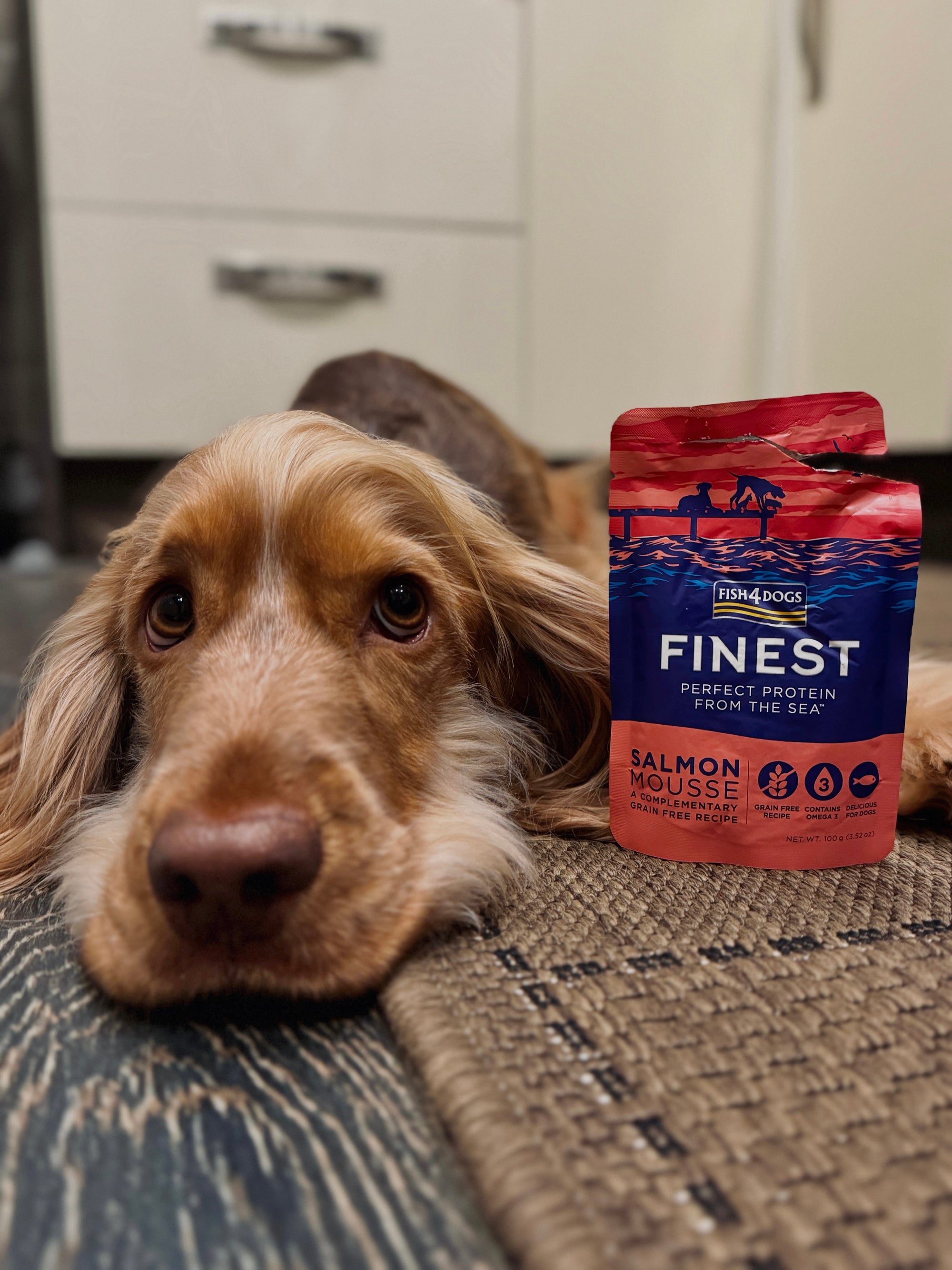 Fish4dogs Finest Salmon Mousse 100g - Bodhi & The Birchtree