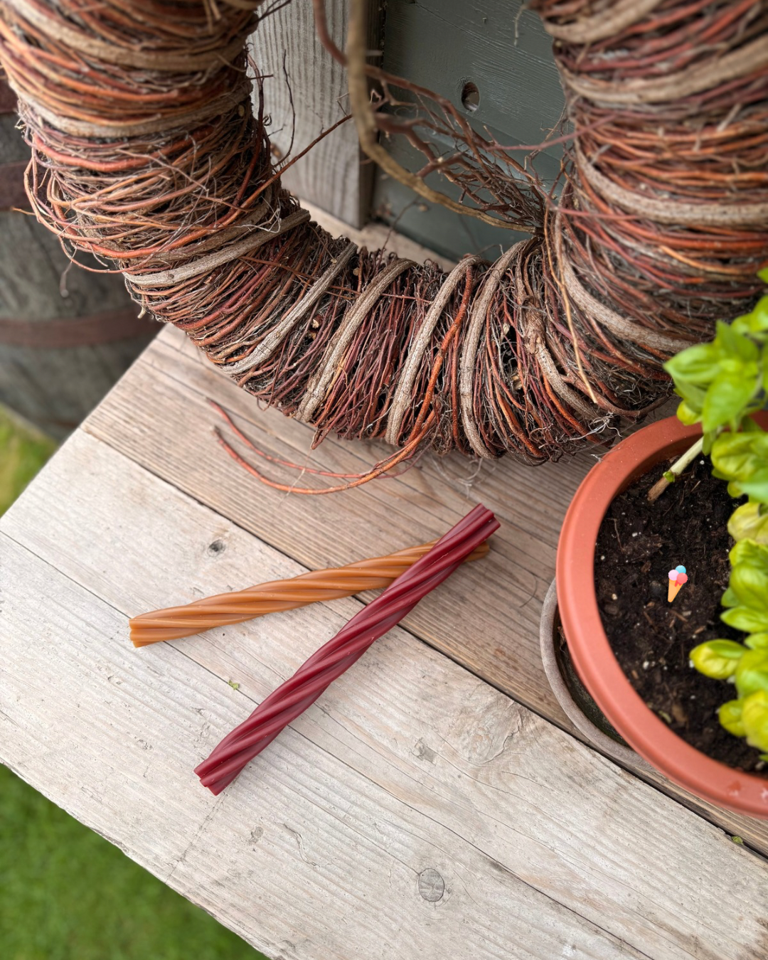 Veggie Giant Twist Sticks (Peanut Butter, Smokey BBQ & Pumpkin, Carrot & Paprika) - Bodhi & The Birchtree