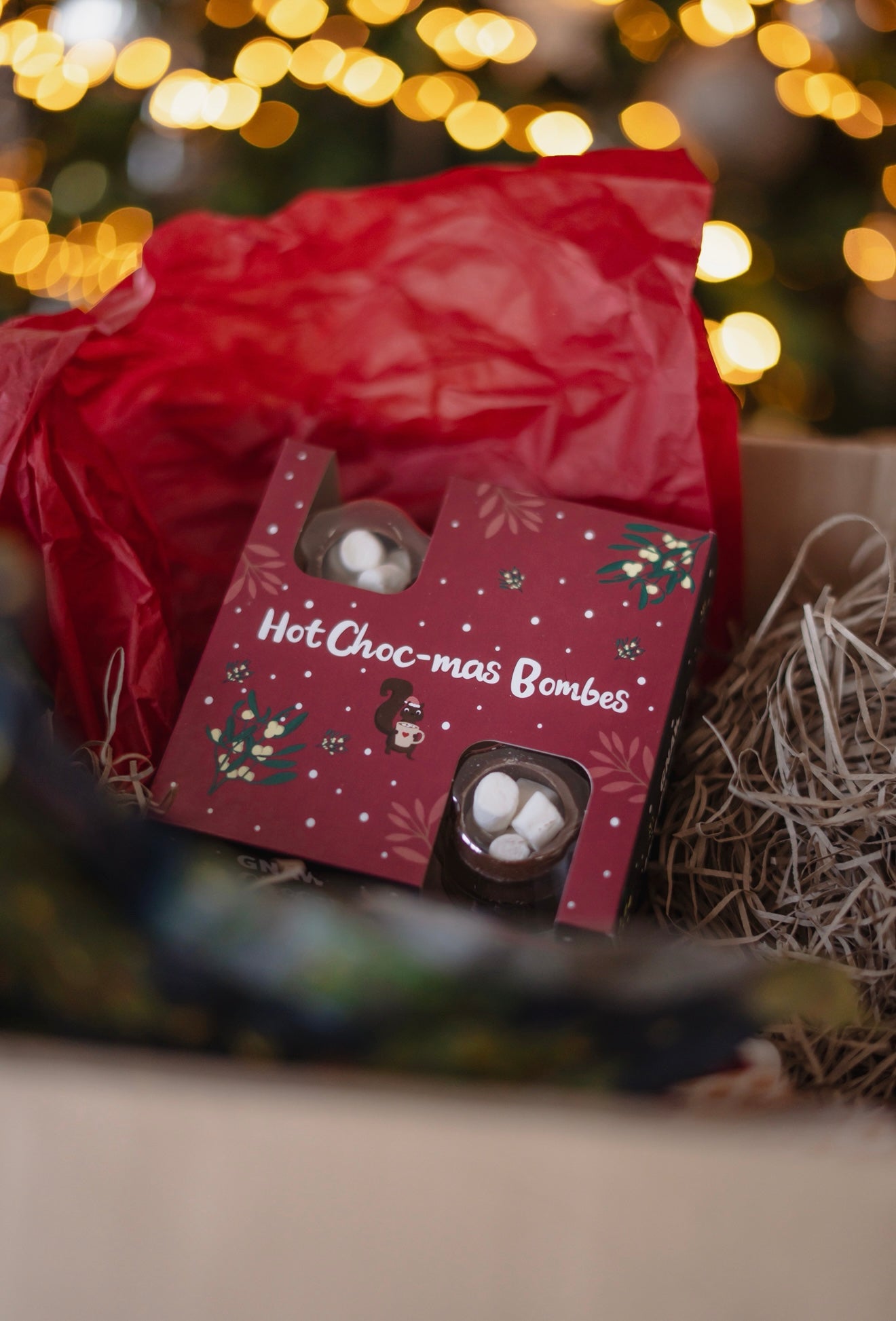 Pre-Order Bodhi & The Birchtree Human and Hound Christmas Advent Calendar - Bodhi & The Birchtree