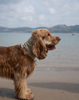 Olive Green Summer Cooling Bandana - Bodhi & The Birchtree