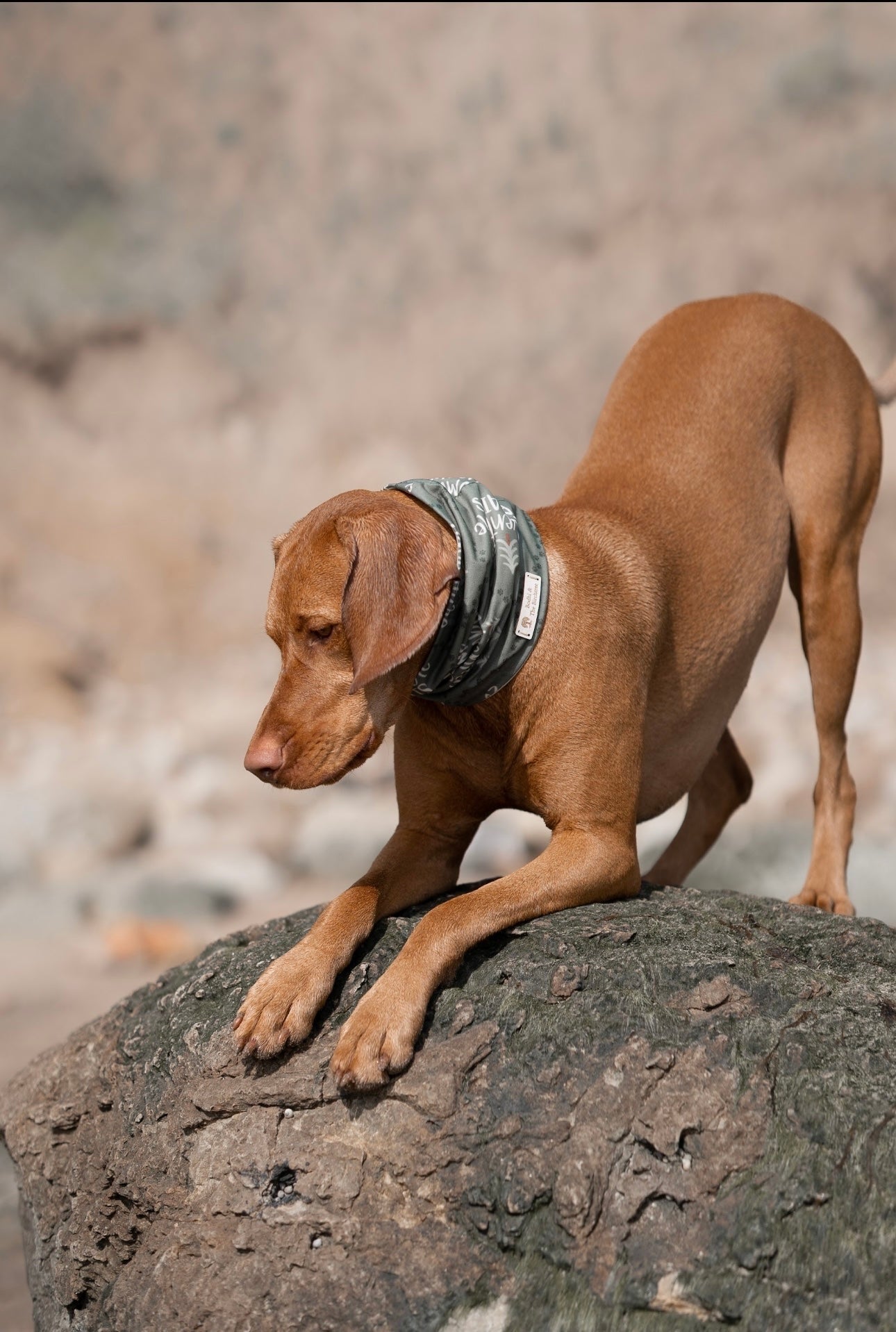 Bodhi & The Birchtree Adventure Awaits Summer Cooling Snood - Bodhi & The Birchtree