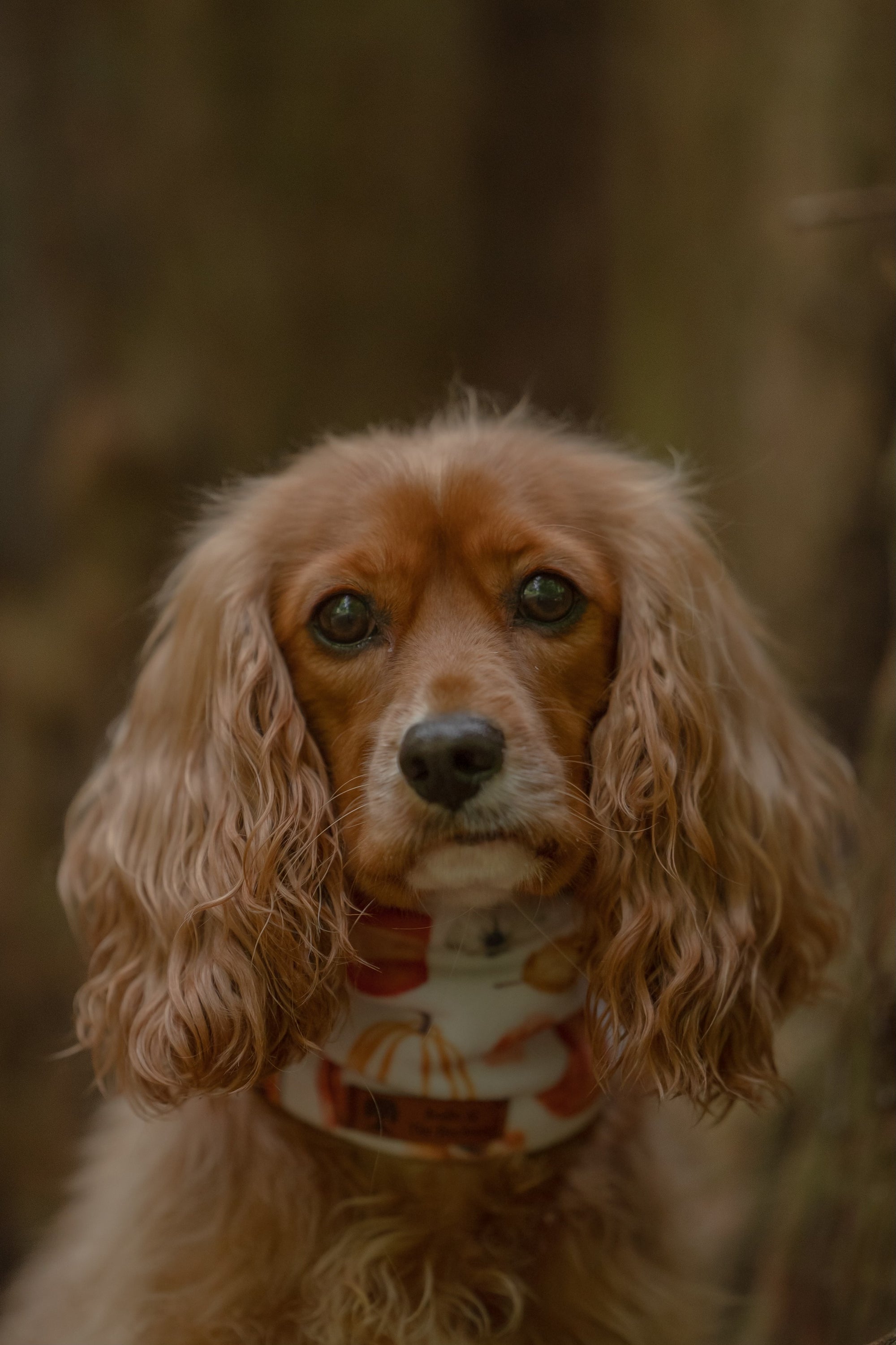 Cosy Fall & Avocado Polar Fleece Snood - Bodhi & The Birchtree