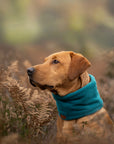 ‘The Alester’ Petrol & Sage Polar Fleece Snood