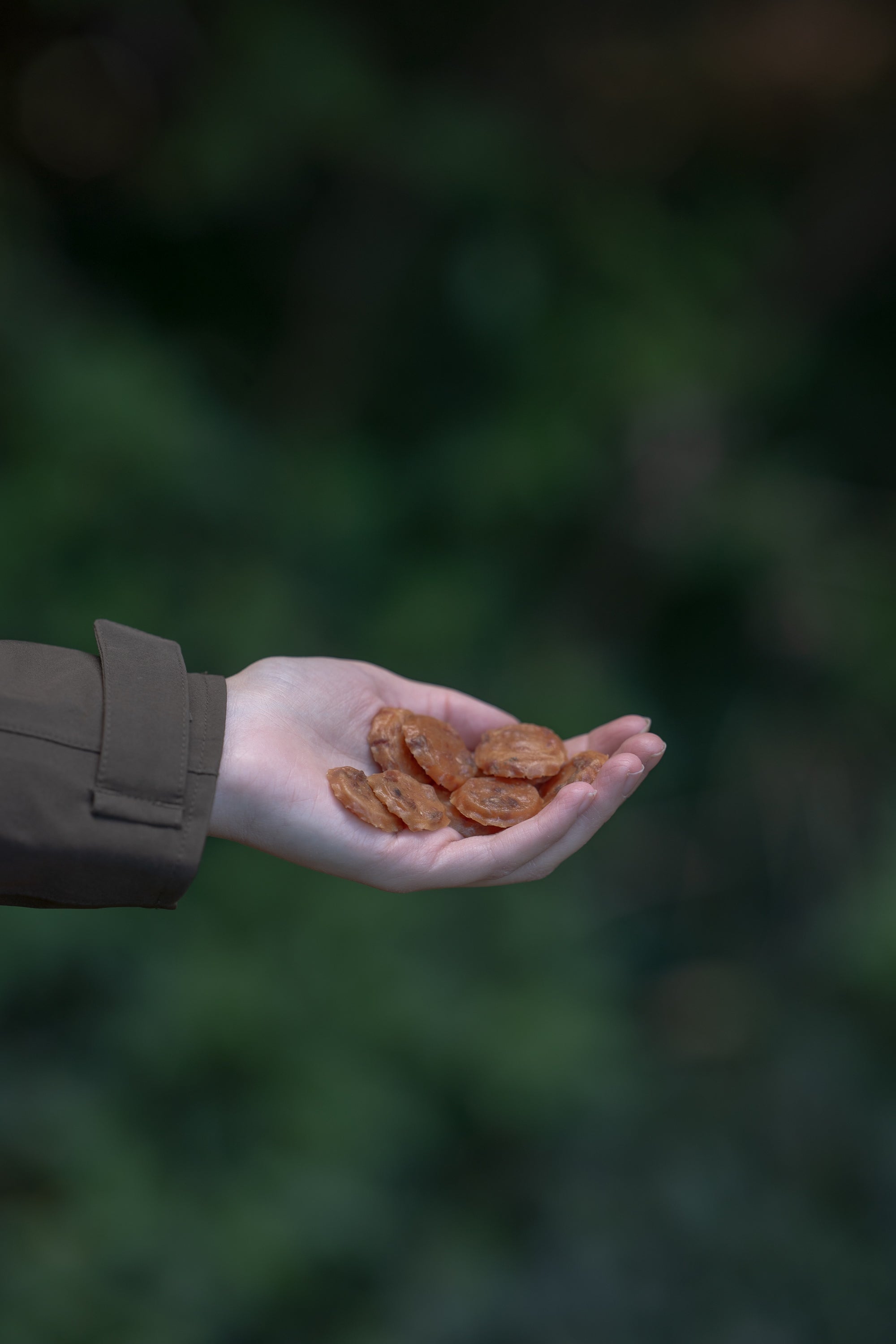 Salmon Coins 50g - Bodhi & The Birchtree