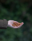 Salmon Coins 50g