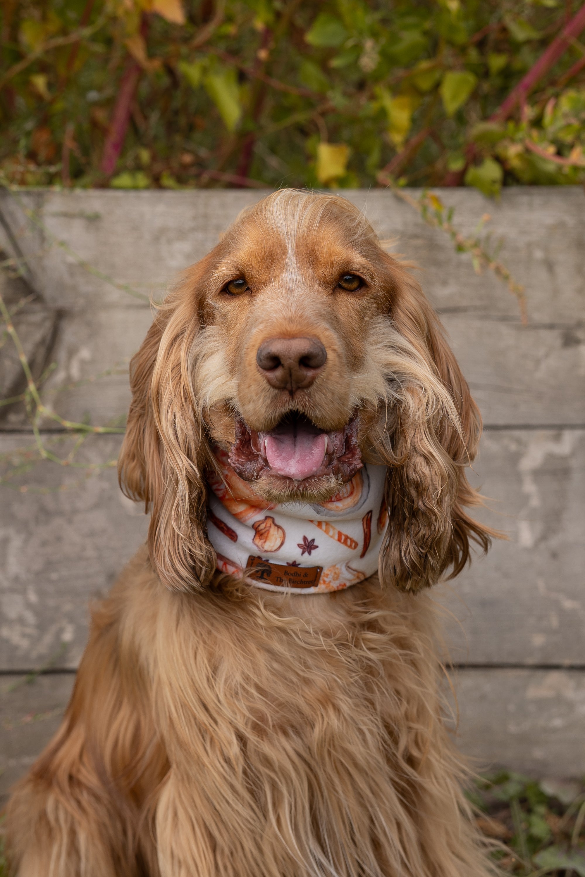 Pumpkin Spice & Cream Polar Fleece Snood - Bodhi & The Birchtree