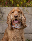 Pumpkin Spice & Cream Polar Fleece Snood - Bodhi & The Birchtree