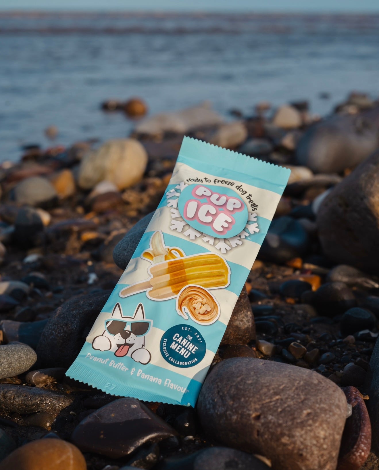 Pup Ice Lolly - Bodhi & The Birchtree