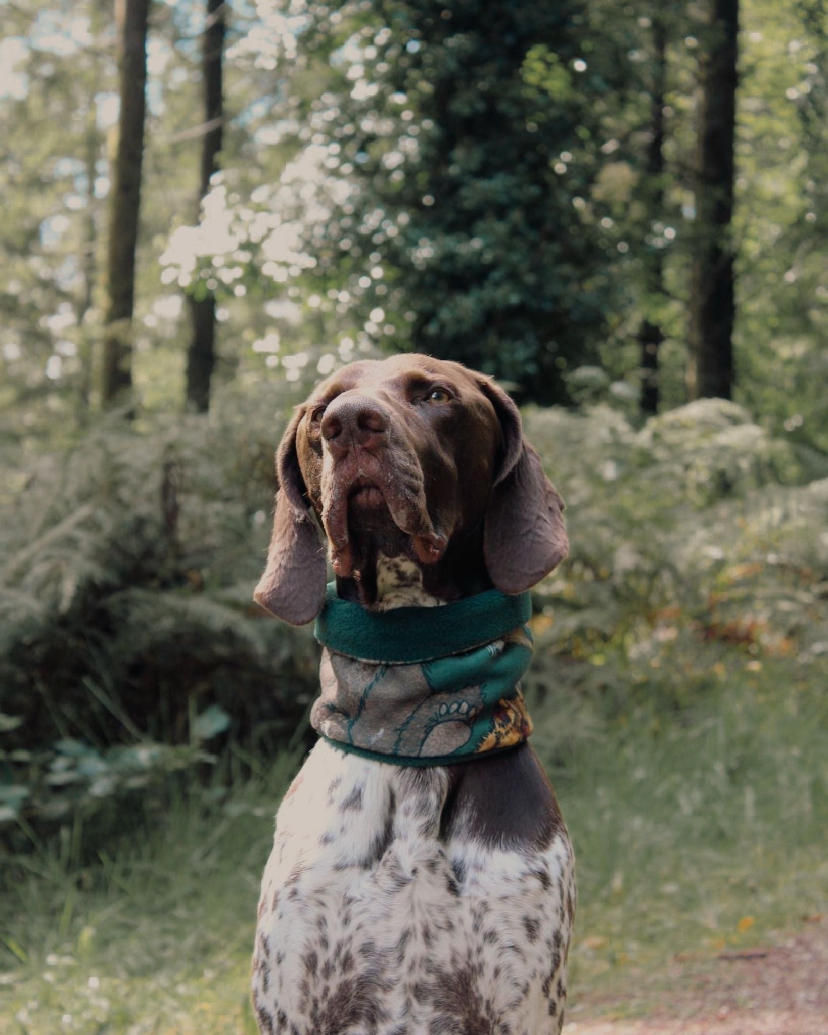 Woody’s Woodand Friends & Fir Green Polar Fleece Snood - Bodhi & The Birchtree