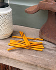 Peanut Butter & Banana Thin Veggie Twists - Bodhi & The Birchtree