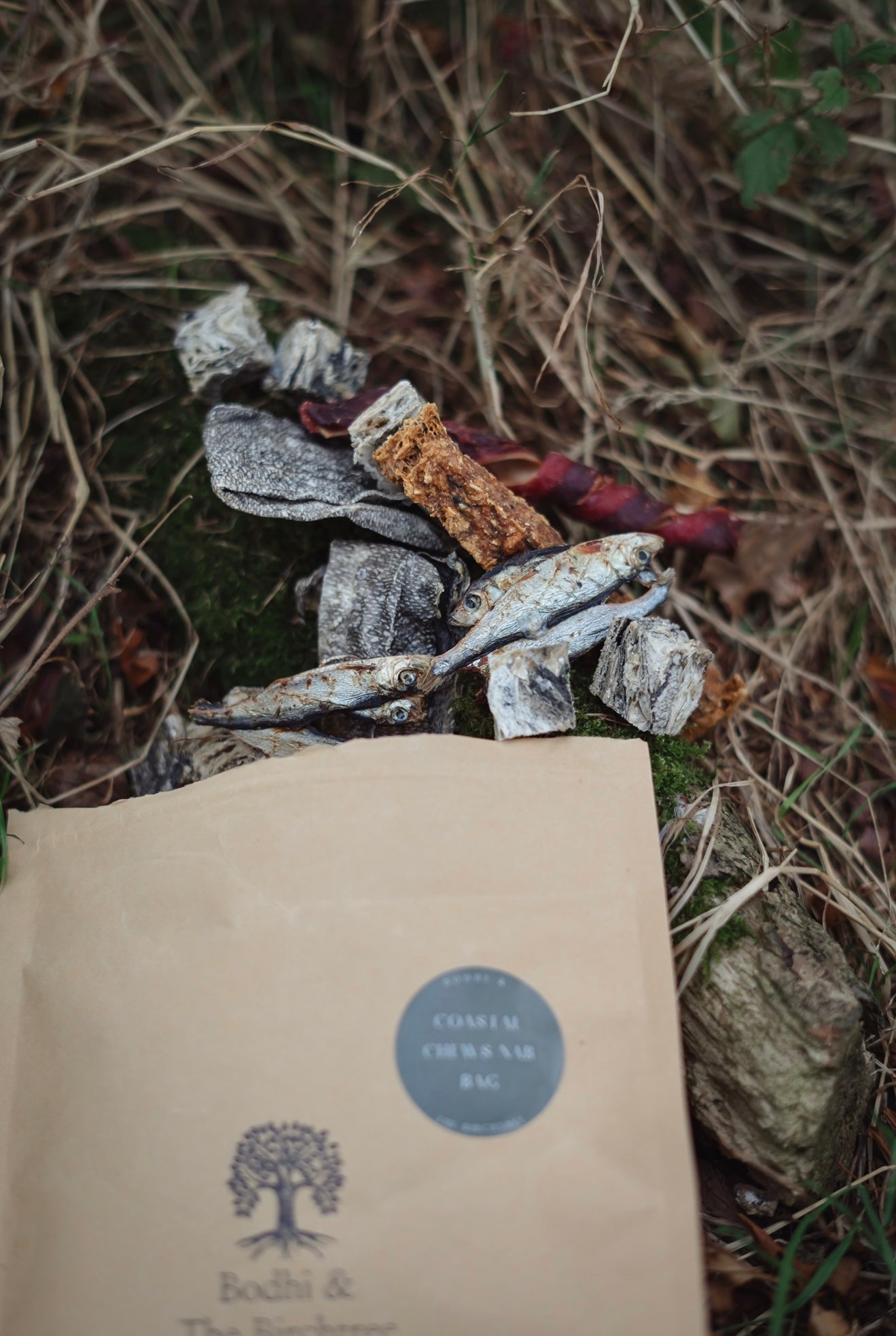 Bodhi & The Birchtree Coastal Chews Nab Bag - Bodhi & The Birchtree