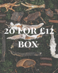 20 for £12 Pick N’ Mix Bundle - Bodhi & The Birchtree