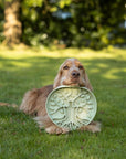 Bodhi & The Birchtree The Evergreen Collection - Foliage Slow Feeder Bowl - Bodhi & The Birchtree