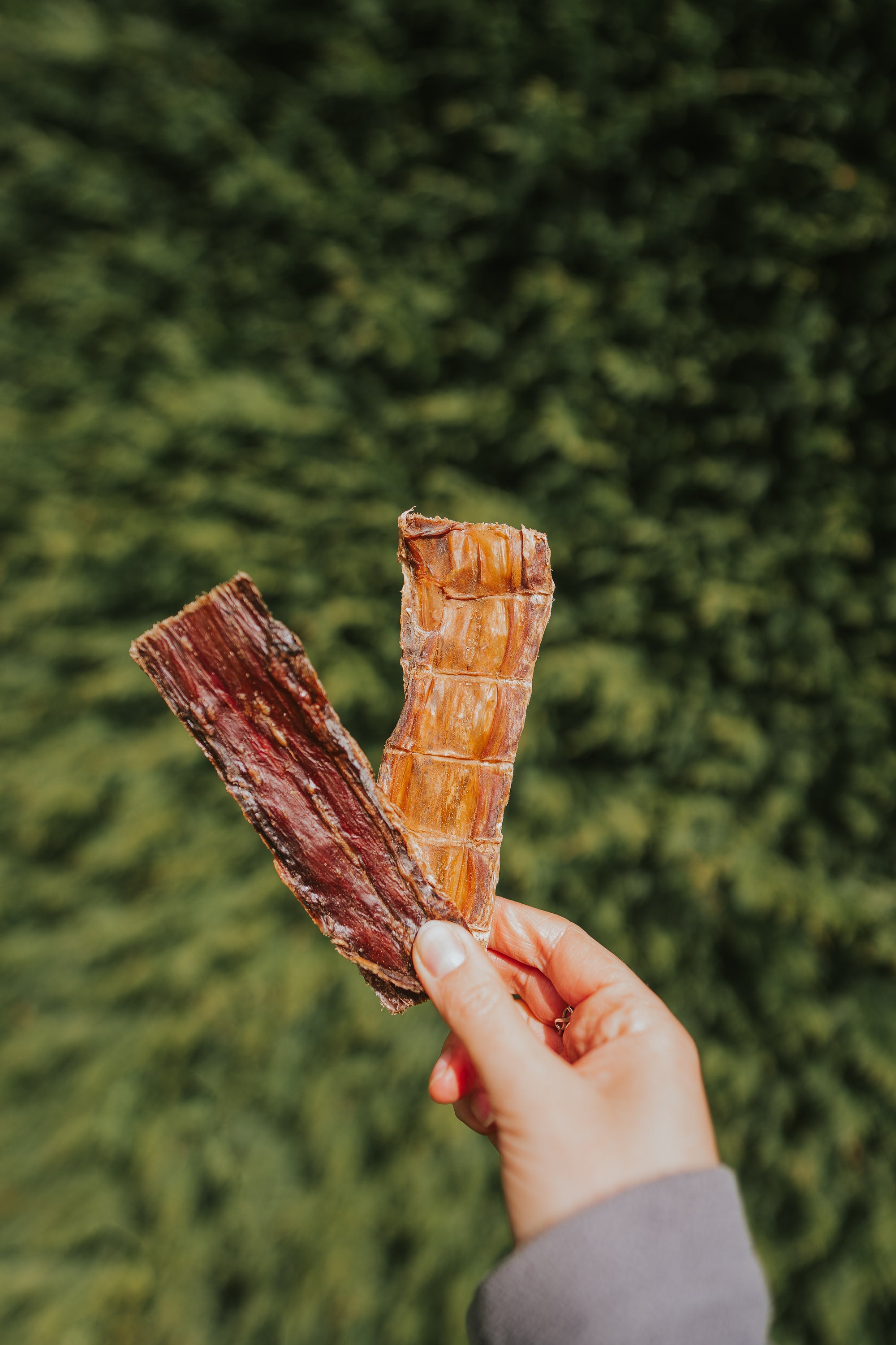 100% Crocodile Meat Chews - Bodhi & The Birchtree