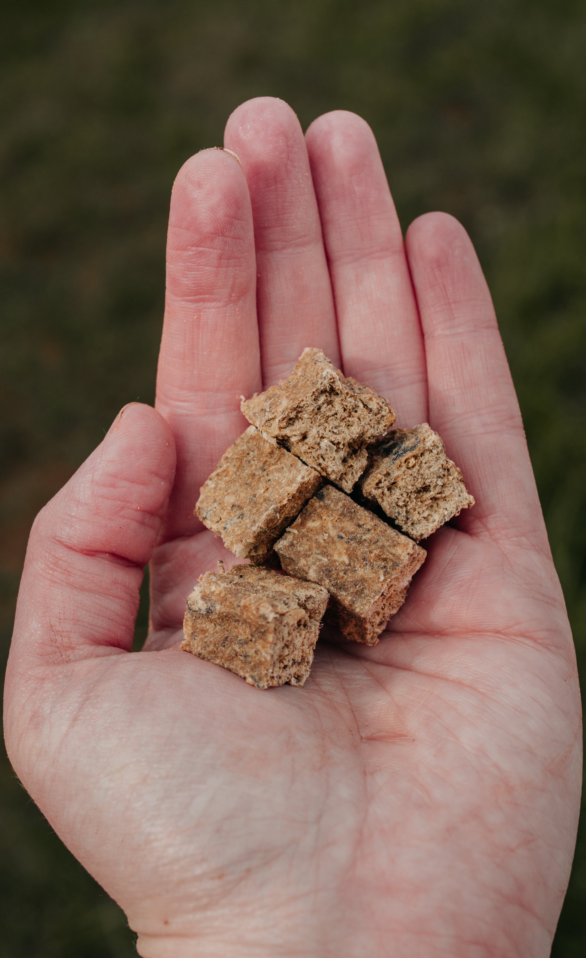 Bodhi & The Birchtree Cod & Mango Cubes 100g - Bodhi & The Birchtree