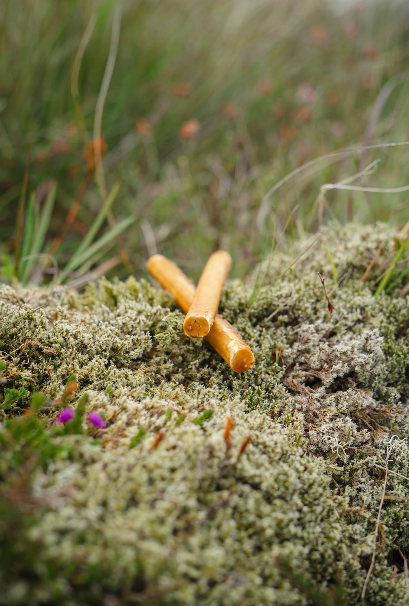 Peanut & Pumpkin Veggie Collagen Chews - Bodhi & The Birchtree