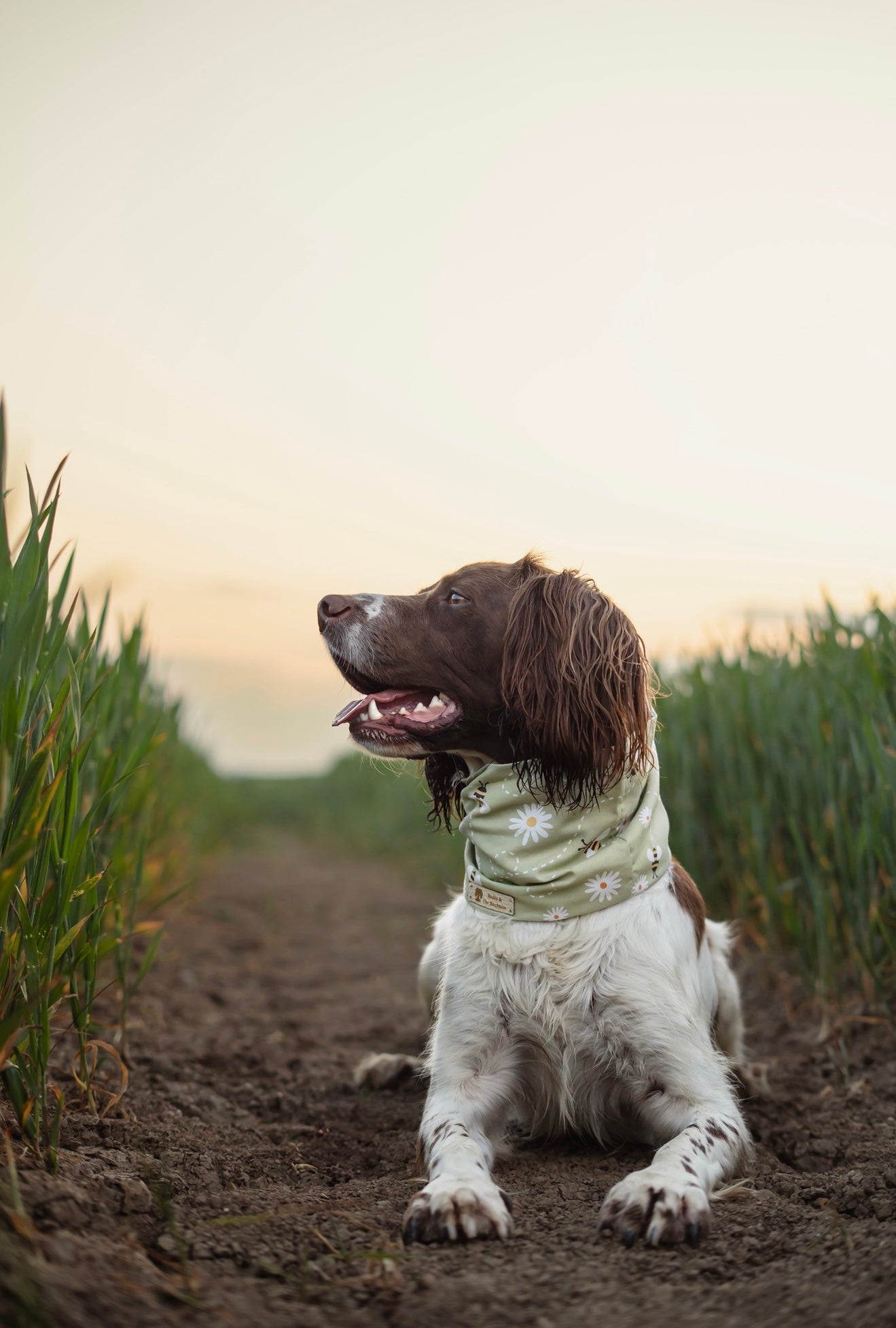 Bodhi & The Birchtree Bees & Daisies Summer Cooling Snood - Bodhi & The Birchtree