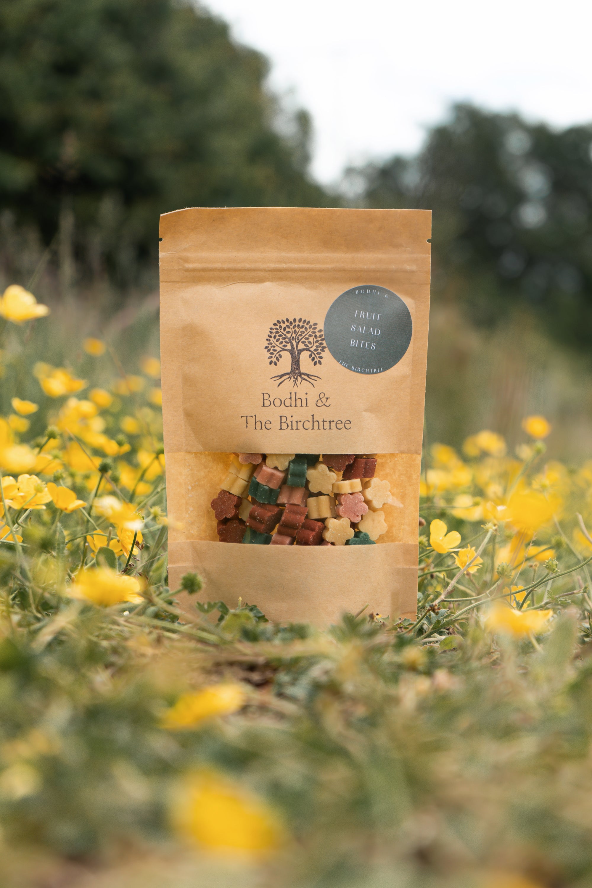 Bodhi & The Birchtree Fruit Salad Bites 80g - Bodhi & The Birchtree