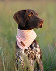 Pink Gingham Summer Cooling Bandana - Bodhi & The Birchtree