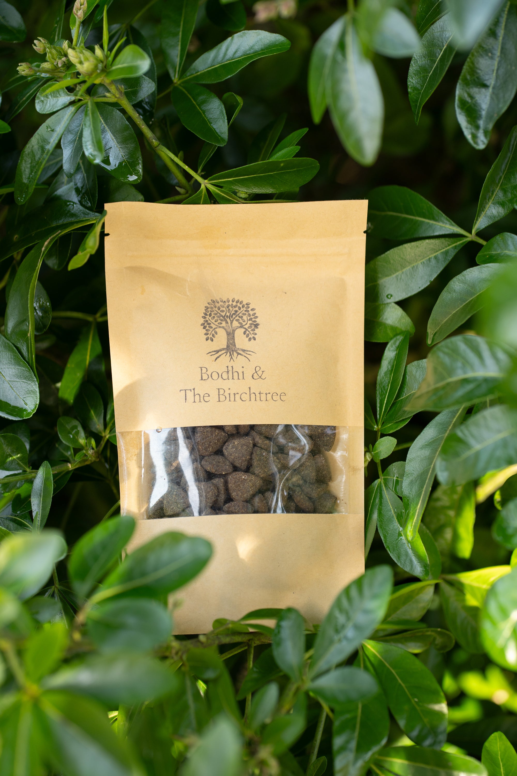 Bodhi & The Birchtree Buffalo Bites 100g - Bodhi & The Birchtree