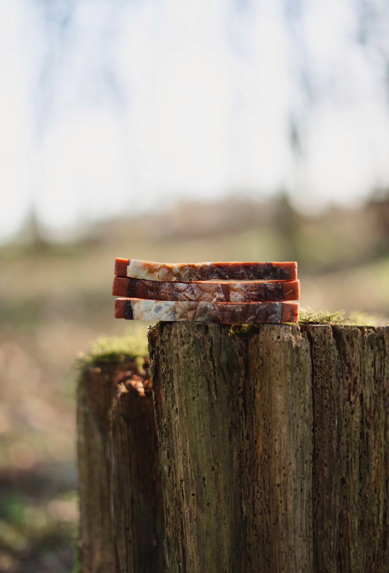 Salmon Skin Strip - Tenner Tuesday - Bodhi & The Birchtree