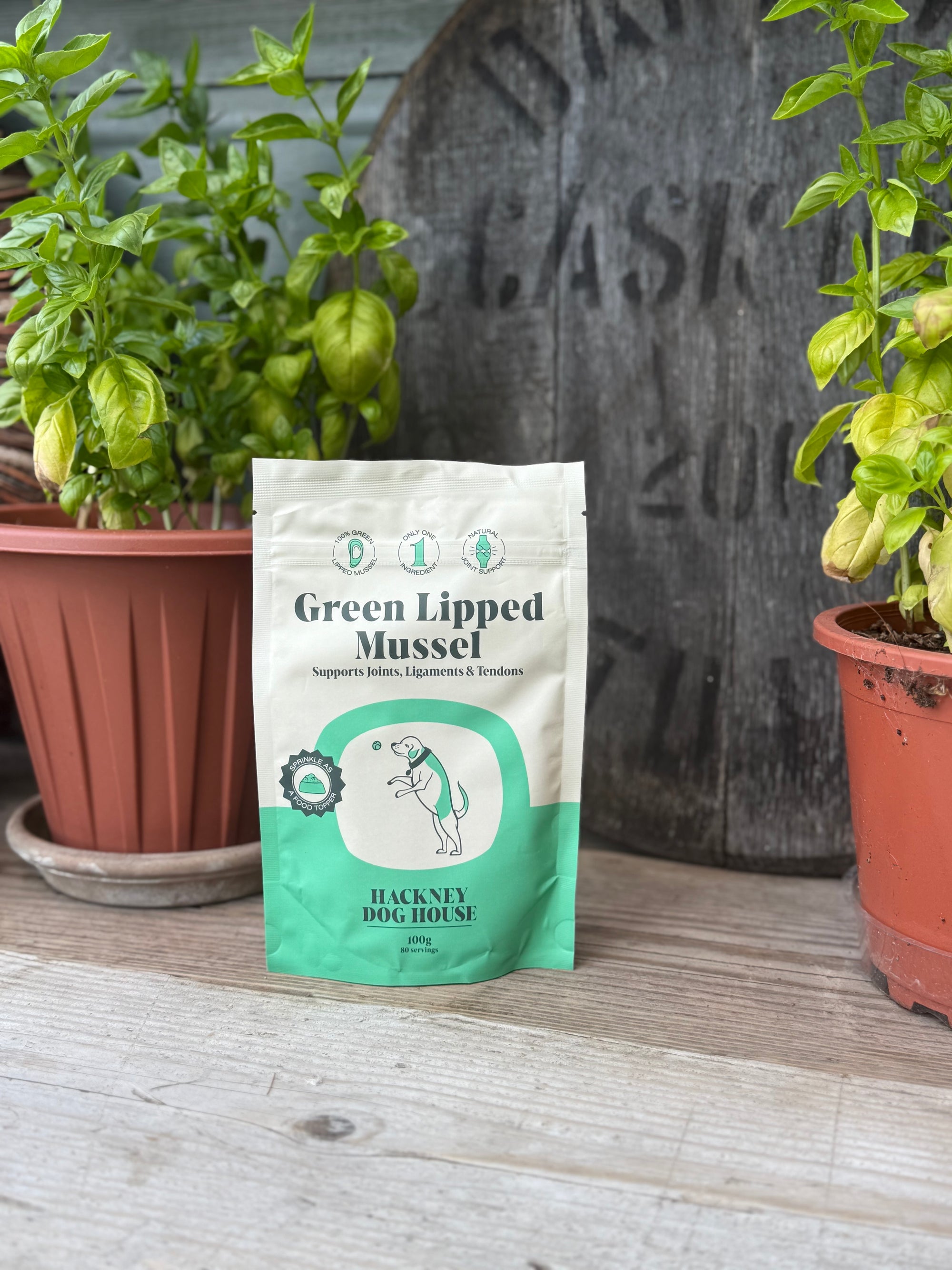 Hackney House Green Lipped Mussel Powder - Bodhi & The Birchtree