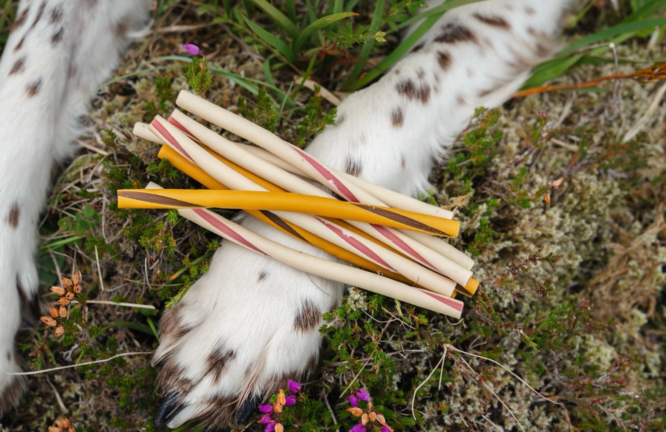 Strawberry & Coconut Thin Veggie Twists - Bodhi & The Birchtree