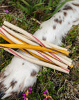 Strawberry & Coconut Thin Veggie Twists - Bodhi & The Birchtree