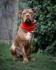 Bodhi & The Birchtree Burnt Orange Fleece Snood - Bodhi & The Birchtree