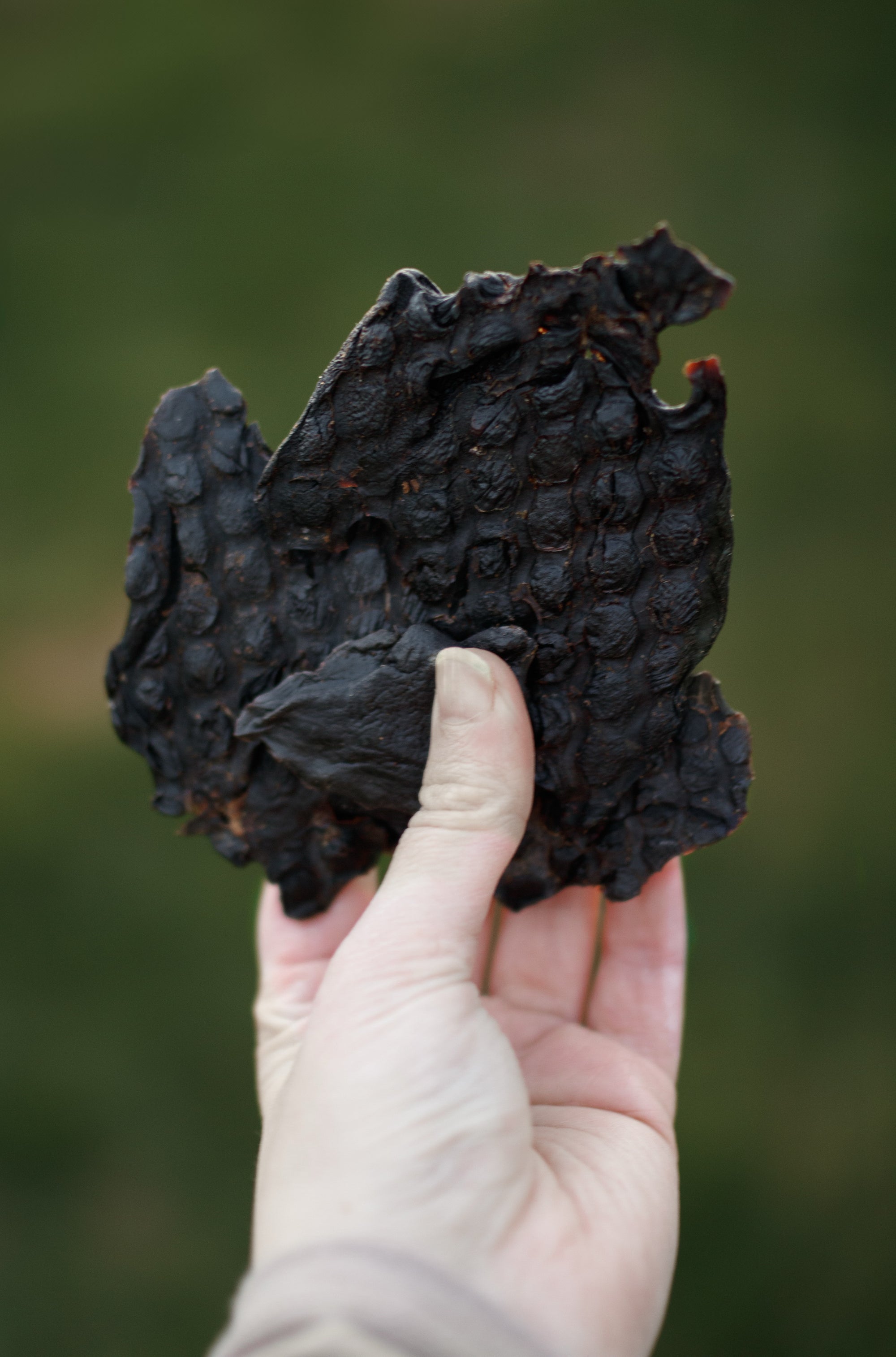 Bodhi & The Birchtree Rabbit Liver Nab Bag - Bodhi & The Birchtree