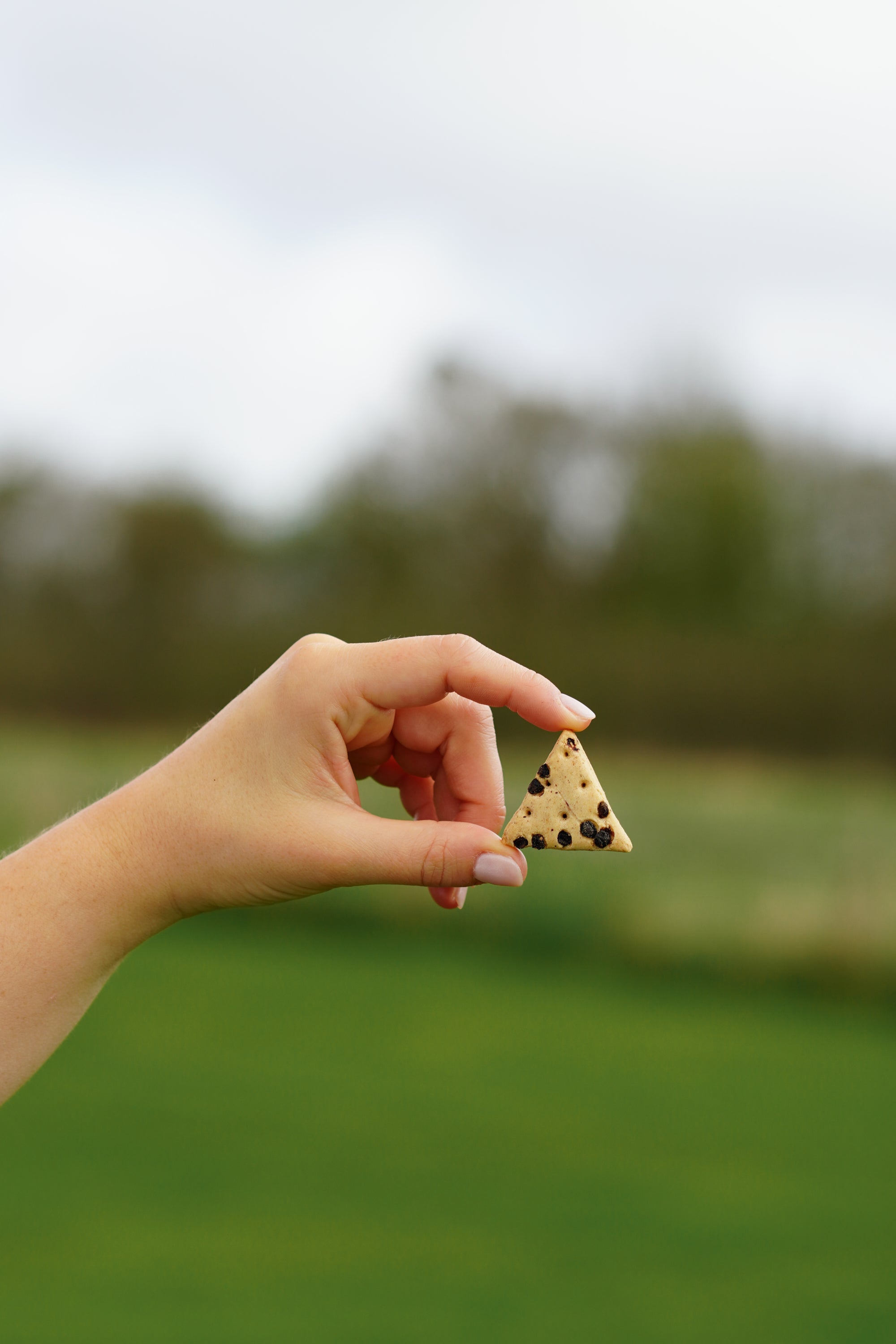 Bodhi & The Birchtree Elderberry & Apple Biscuits 80g - Bodhi & The Birchtree