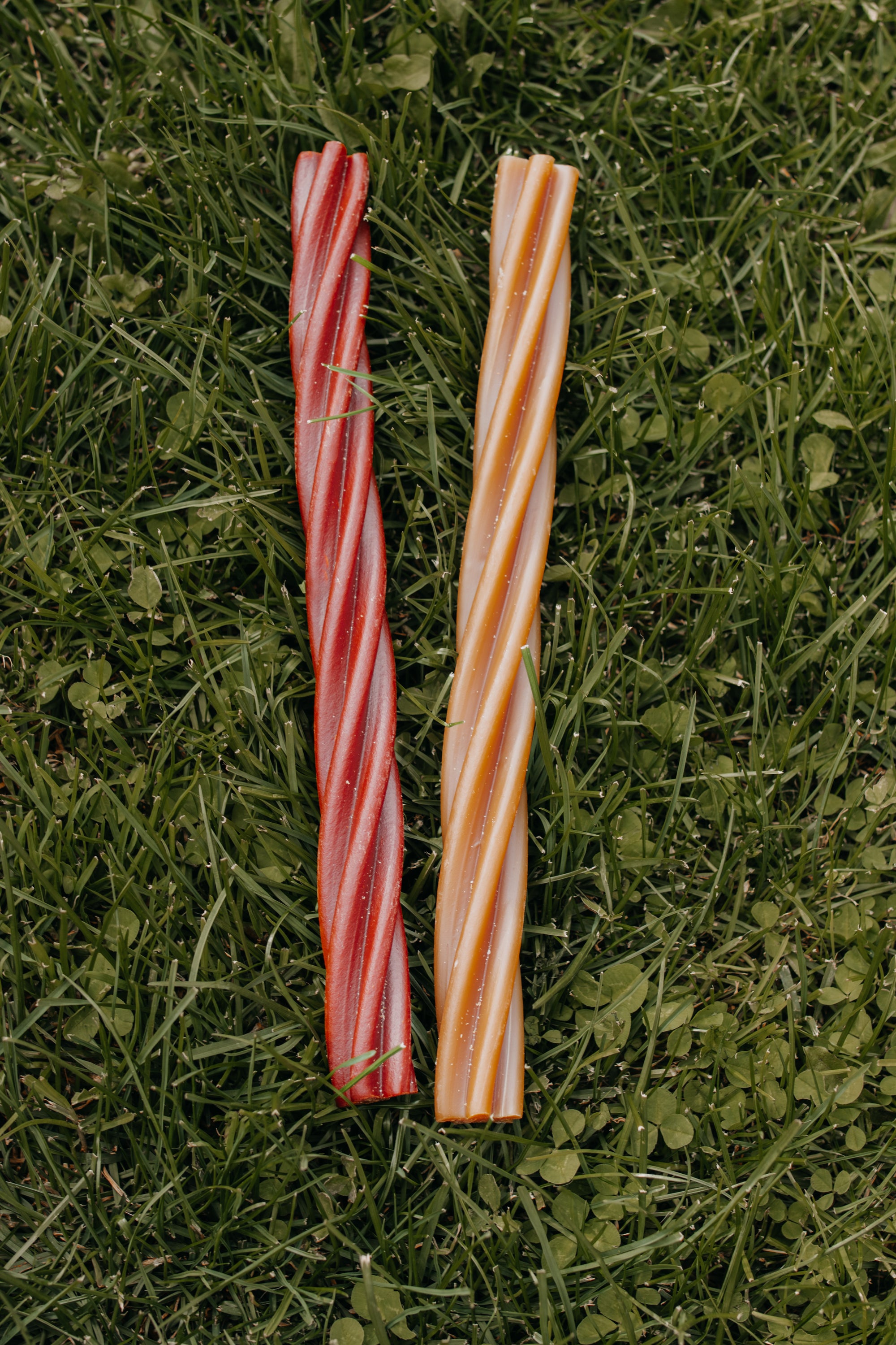 Veggie Giant Twist Sticks (Peanut Butter, Smokey BBQ & Pumpkin, Carrot & Paprika) - Bodhi & The Birchtree