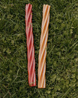 Veggie Giant Twist Sticks (Peanut Butter, Smokey BBQ & Pumpkin, Carrot & Paprika) - Bodhi & The Birchtree