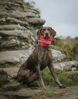 Bodhi & The Birchtree ‘The Nellie’ Pink & Orange Polar Fleece Snood - Bodhi & The Birchtree