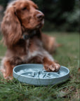 Bodhi & The Birchtree The Evergreen Collection - Alpine Slow Feeder Bowl - Bodhi & The Birchtree