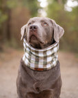 Buffalo Check & Dark Camel Polar Fleece Snood - Bodhi & The Birchtree