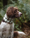 Buffalo Check & Dark Camel Polar Fleece Snood - Bodhi & The Birchtree