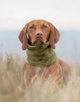 Bodhi & The Birchtree Moss Green Polar Fleece Snood - Bodhi & The Birchtree