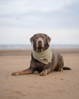 Olive Green Summer Cooling Bandana - Bodhi & The Birchtree