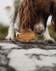 Peanut Butter Filled Calf Hooves - Bodhi & The Birchtree