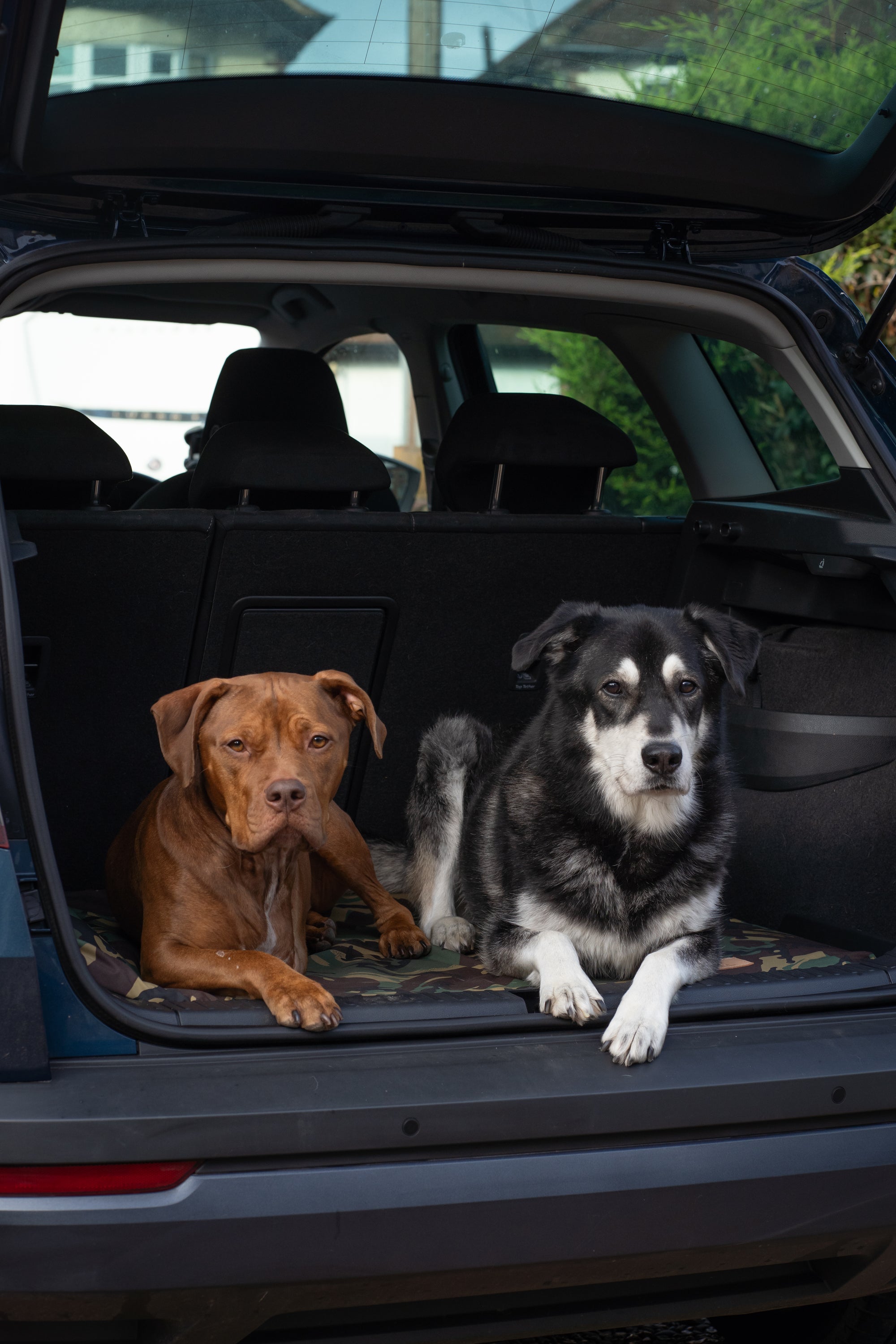 Bodhi & The Birchtree Waterproof Boot/Crate Mattress - Bodhi & The Birchtree