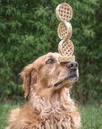 Collagen Waffle