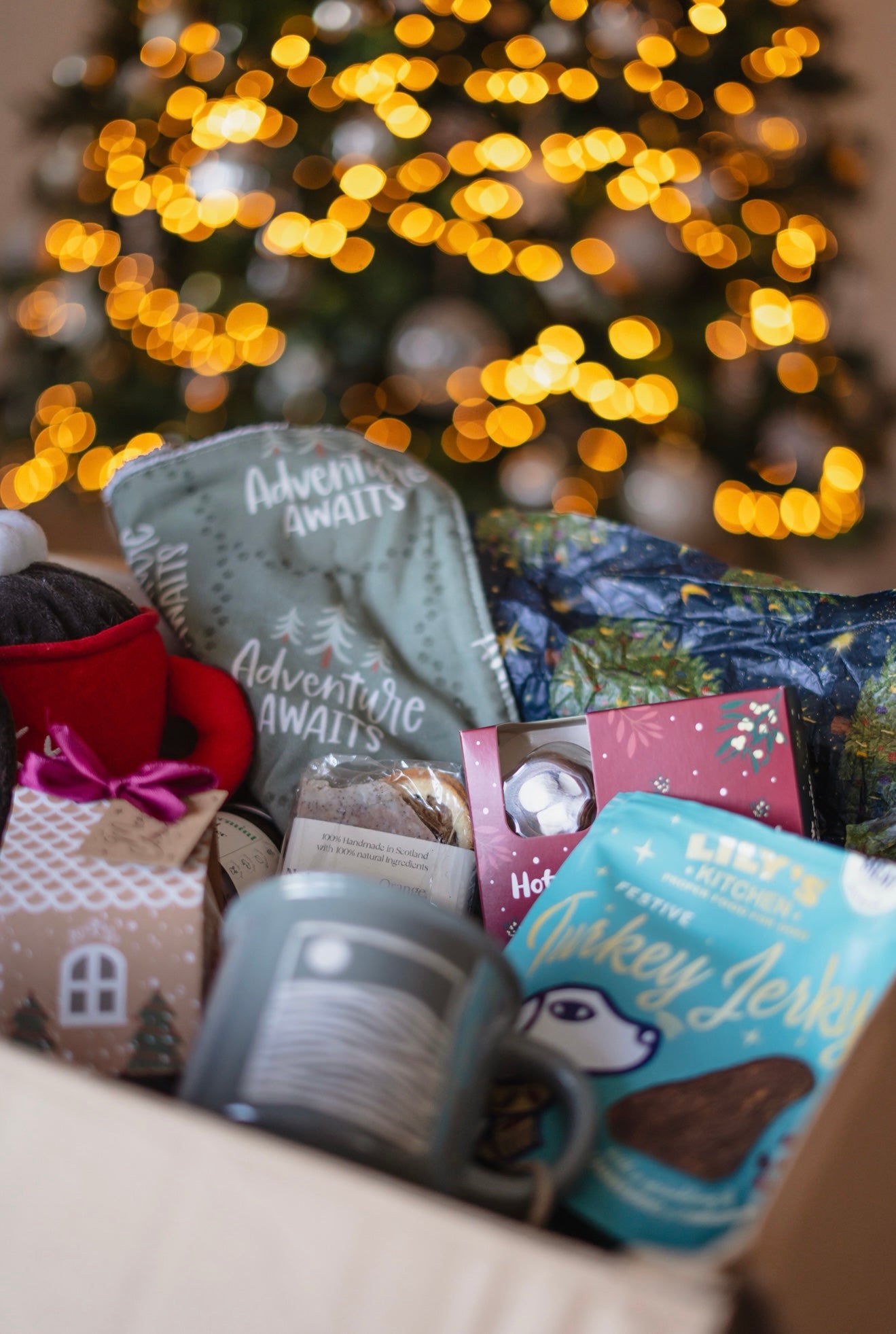 Pre-Order Bodhi & The Birchtree Human and Hound Christmas Advent Calendar - Bodhi & The Birchtree
